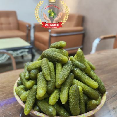 خيار قشه هندي