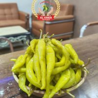 فلفل طنطاوي