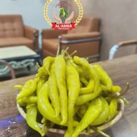 فلفل طنطاوي