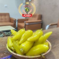 فلفل مكسيكي