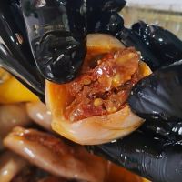 مكدوس بالمكسرات